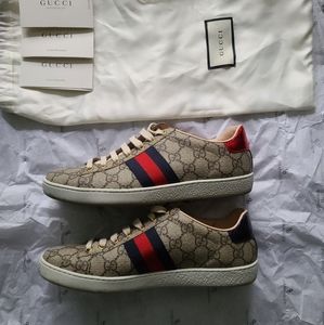 GUCCI w/ Ace GG Supreme Trainer